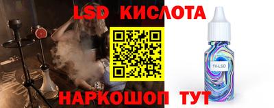 гидропоника Пенза