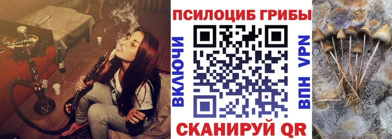 hydra ссылки  Старый Оскол  Галлюциногенные грибы GOLDEN TEACHER 
