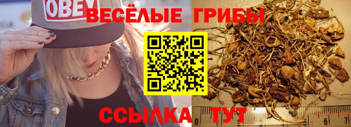 Старый Оскол  Галлюциногенные грибы мицелий  Псилоцибиновые грибы мицелий  Вход с VPN 